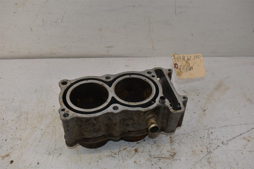 2015 Arctic Cat Wildcat Trail 700 Cylinder CORE 3306-990