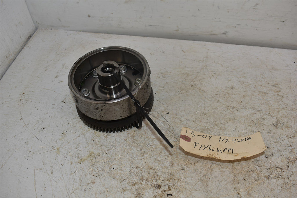 2009 Honda TRX420FA Flywheel 31110-HP7-A01