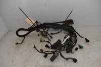 2009 Honda TRX420FA Wiring Harness 32100-HP7-A01