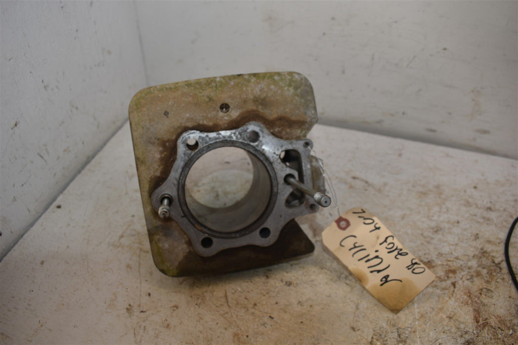 2004 Honda Foreman 450 FE Cylinder 12100-HN0-A00