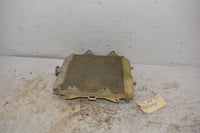 2013 Honda TRX420 Radiator 19010-HP5-601