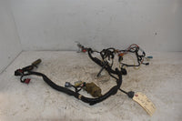 2002 Honda CBR600F4i Wiring Harness CORE 32100-MBW-A20