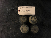 2001 Kawasaki Bayou 300 Wheel Center Caps