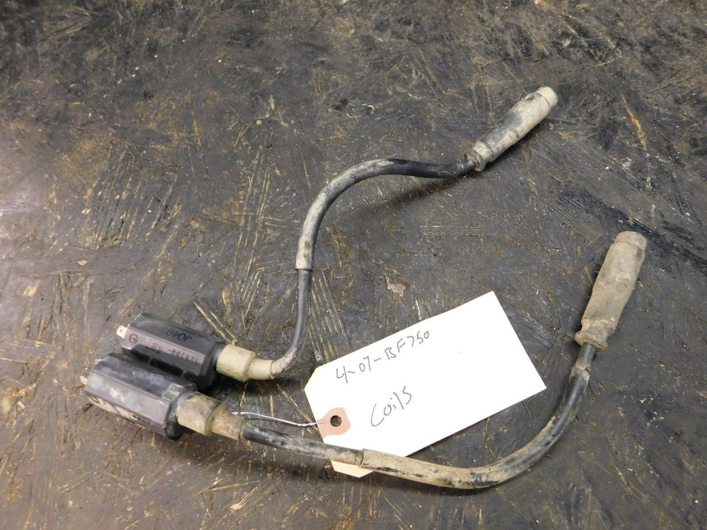 2007 Kawasaki Brute Force 750 Coils