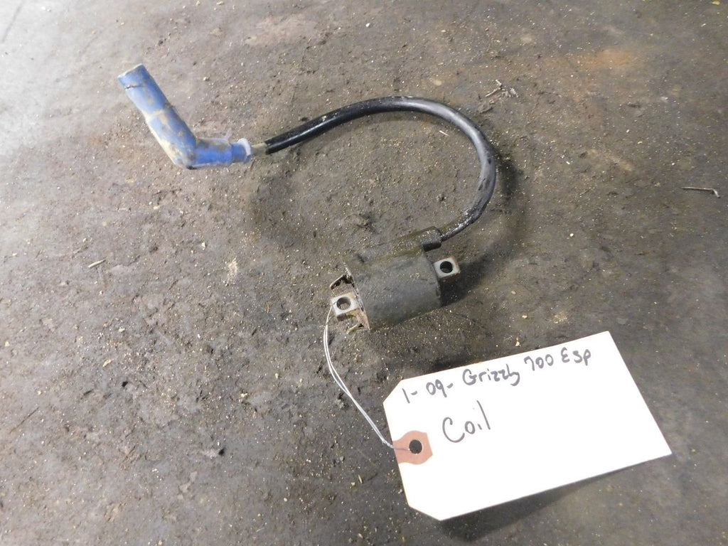2009 Yamaha Grizzly 700 EPS Coil