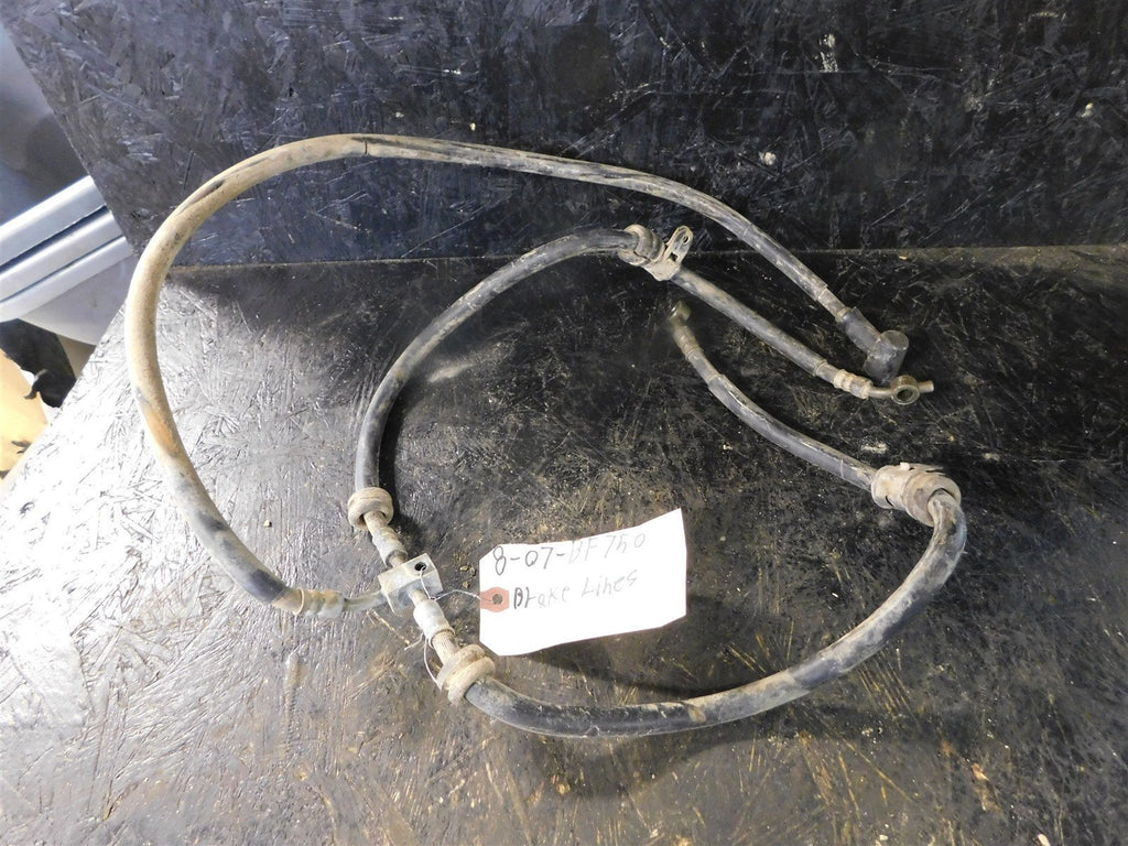 2007 Kawasaki Brute Force 750 Front Brake Lines