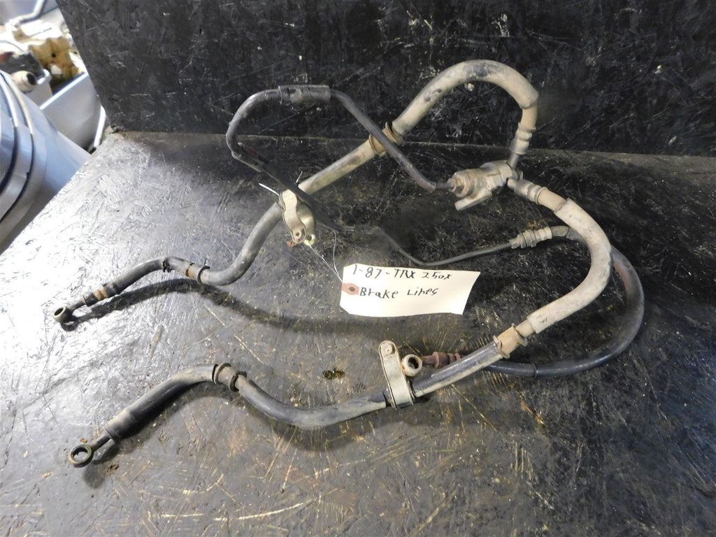1987 Honda TRX250x Front Brake Lines