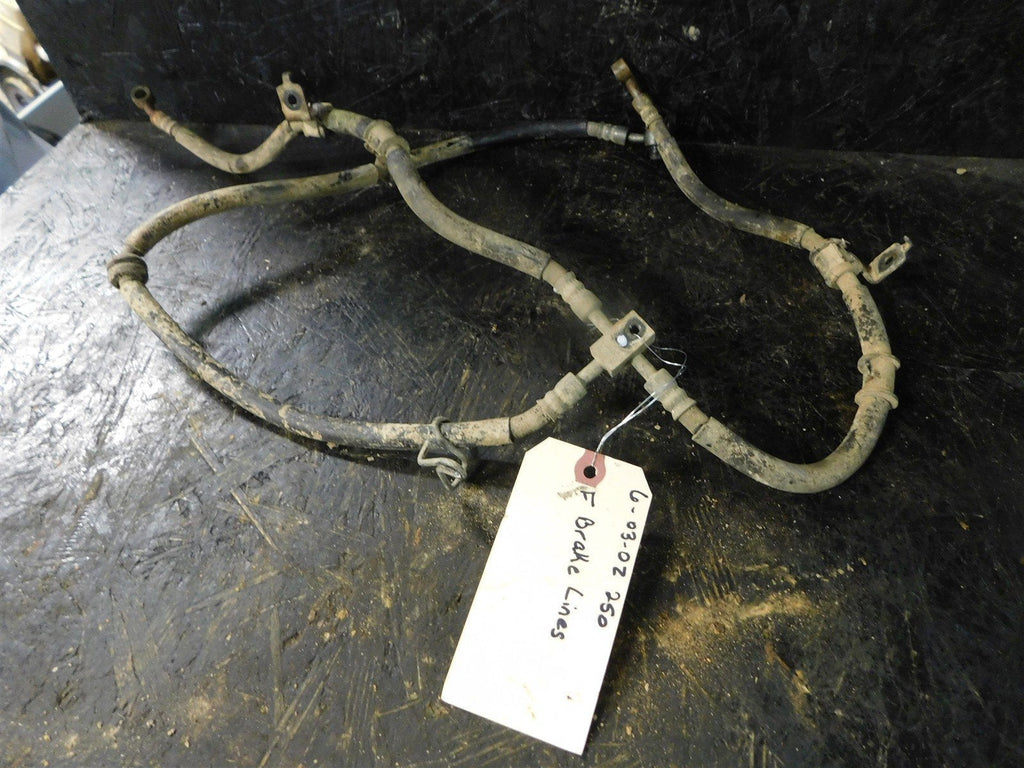 2003 Suzuki Ozark 250 Front Brake Lines