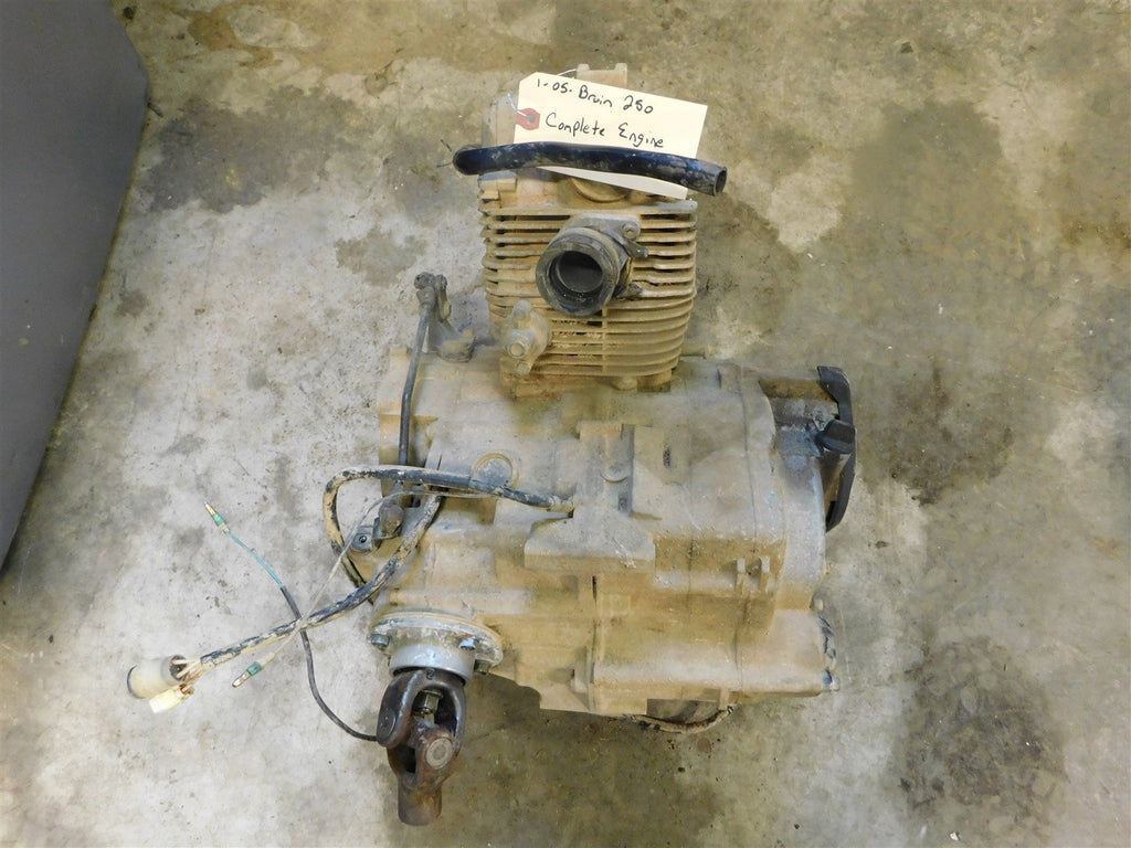 2005 Yamaha Bruin 250 Engine / Motor
