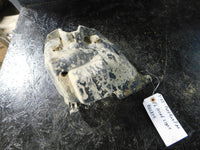 2007 Honda Foreman 500FM Left Front Headlight Bucket