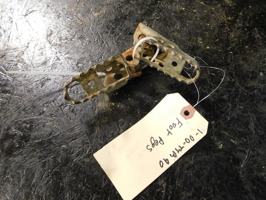 2000 Yamaha TTR90 Foot Pegs