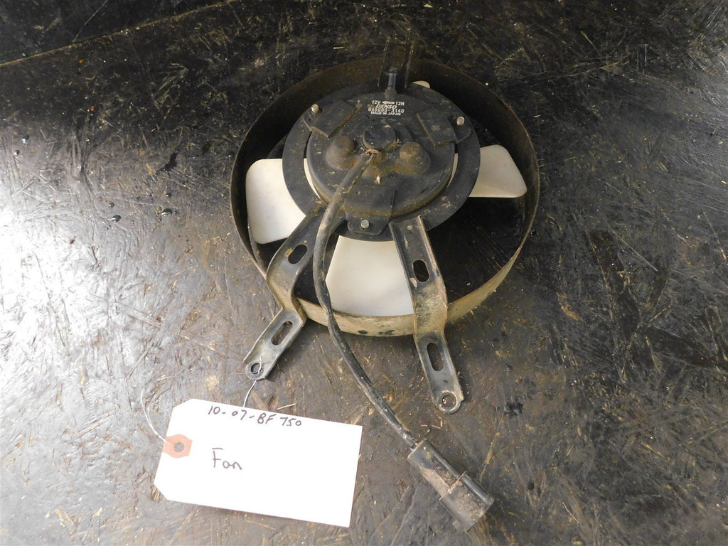 2007 Kawasaki Brute Force 750 Fan