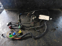 2002 Suzuki GS500 Wiring Harness