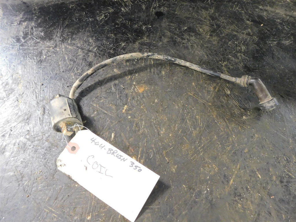 2004 Yamaha Bruin 350 4x4 Coil