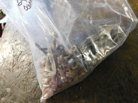 1999 Yamaha Moto-4 80 Bolts Lot