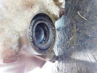 2008 Yamaha Grizzly 700 4wd Rear Differential