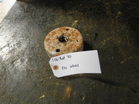 2006 Yamaha Raptor 80 Flywheel