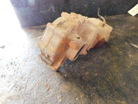 1-09 grizz550 Rear Differential