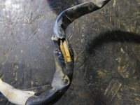 2010 Honda TRX 420 FE Stator / Cover