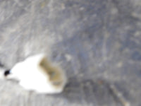 2011 CF Moto CF625 Radiator Fan