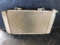 2006 Yamaha Grizzly 660 Radiator