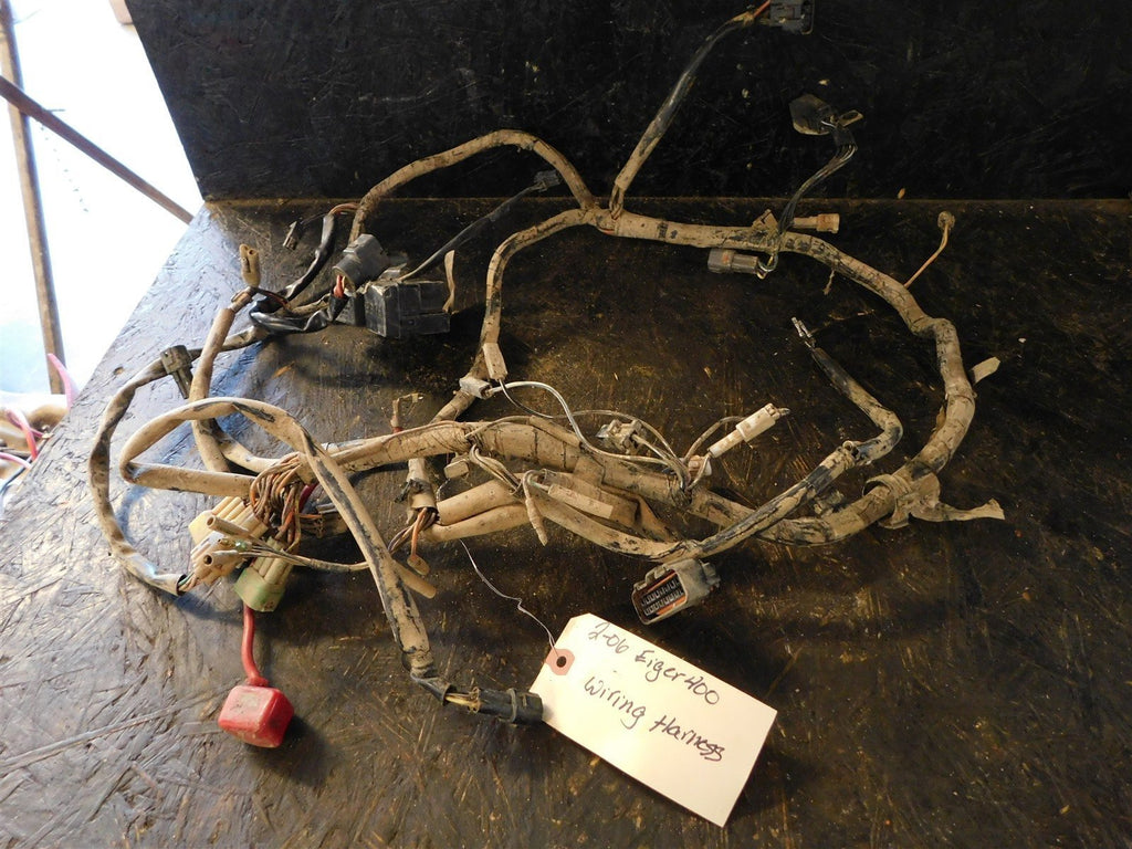 2006 Suzuki Eiger 400 Wiring Harness