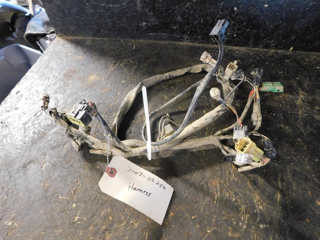 2007 Suzuki Ozark 250 Wiring Harness