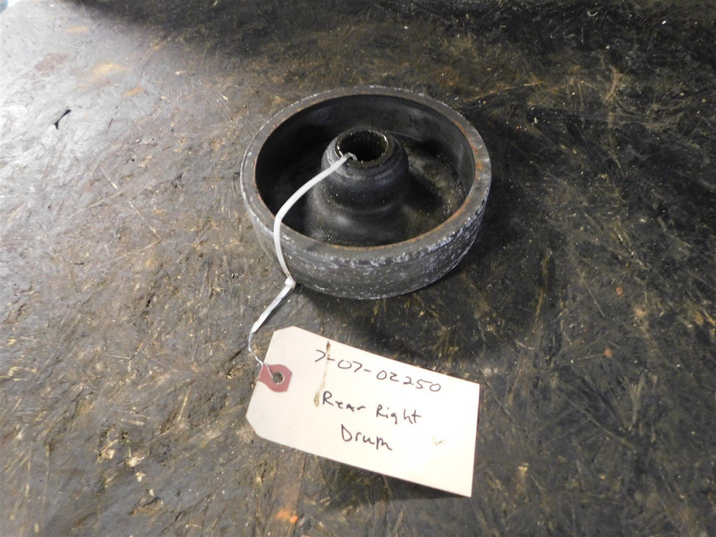 2007 Suzuki Ozark 250 Rear Brake Drum