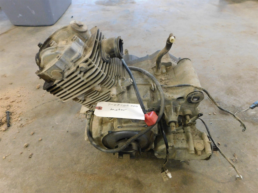 2007 Suzuki Ozark 250 Engine / Motor