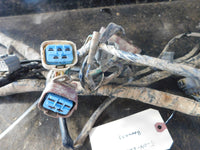 2004 Honda Rancher TRX 350FE Wiring Harness