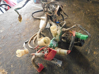 2004 Honda Rancher TRX 350FE Wiring Harness