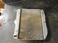2004 Honda TRX 450 Radiator