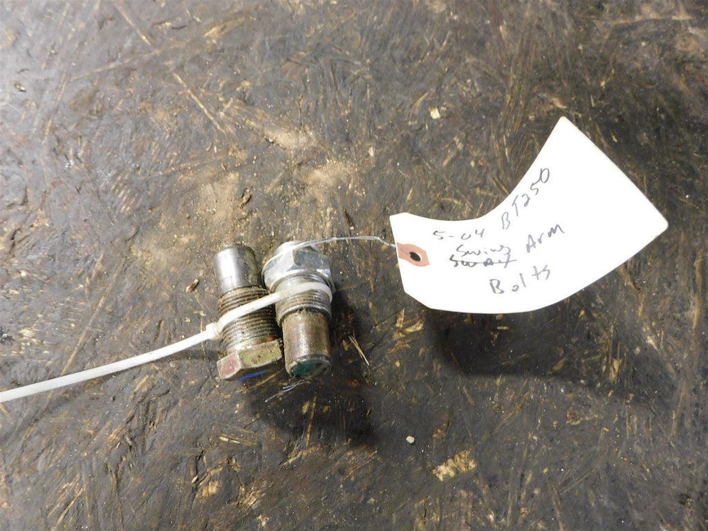 2004 Yamaha Bear Tracker 250 Swingarm Bolts