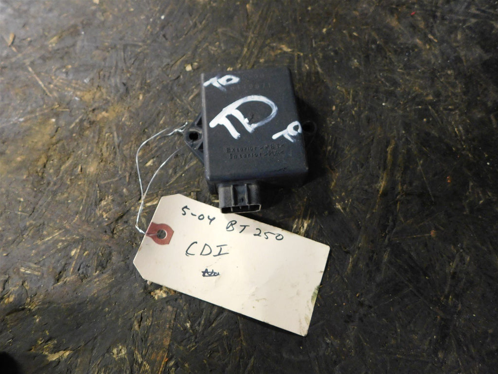 2004 Yamaha Bear Tracker 250 CDI - ECU