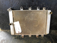 2009 Yamaha Grizzly 700 EPS Radiator