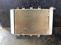 2009 Yamaha Grizzly 700 EPS Radiator