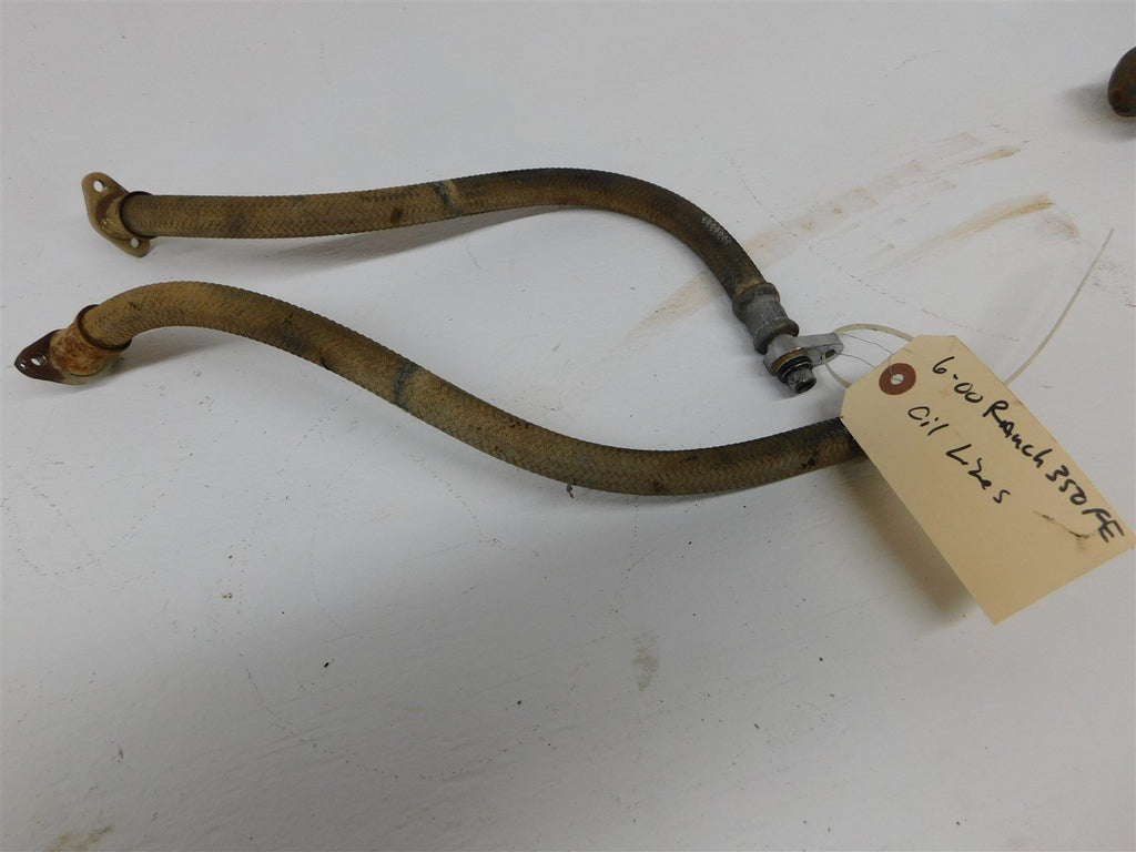 2006 Honda Rancher 350FE Oil Lines