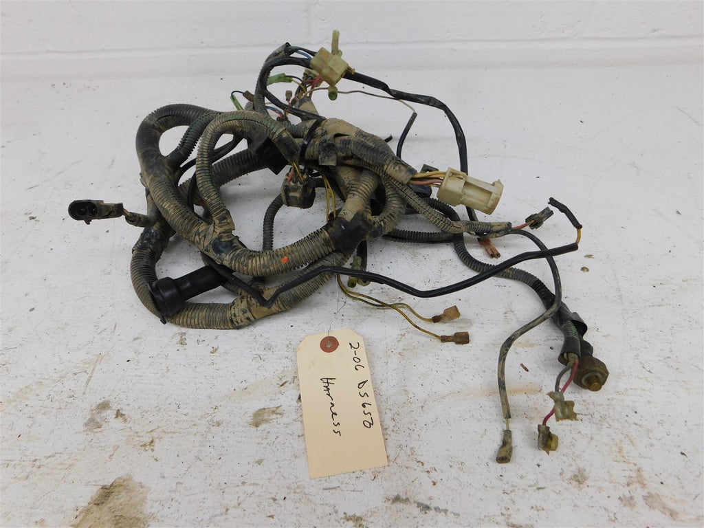 2006 Can-Am Ds 650 Wiring Harness