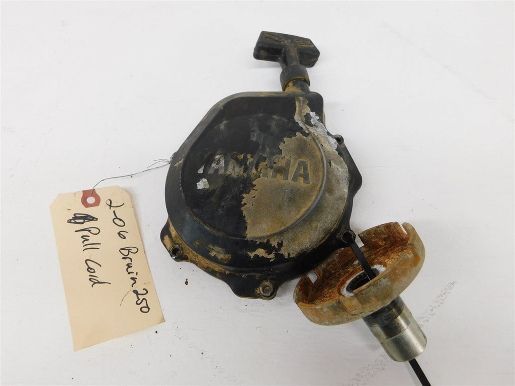 2006 Yamaha Bruin 250 Pull Start