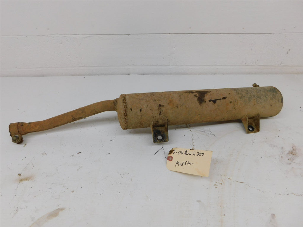 2006 Yamaha Bruin 250