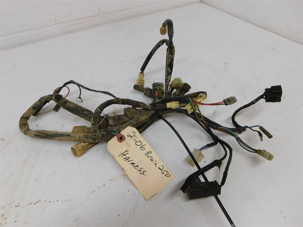 2006 Yamaha Bruin 250 Wiring Harness