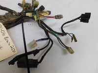 2006 Yamaha Bruin 250 Wiring Harness
