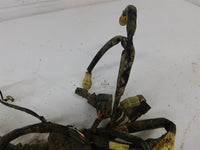 2006 Yamaha Bruin 250 Wiring Harness