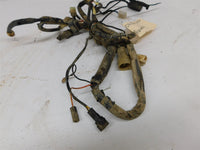 2006 Yamaha Bruin 250 Wiring Harness