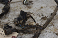 2003 Suzuki LTZ 400 Wiring Harness