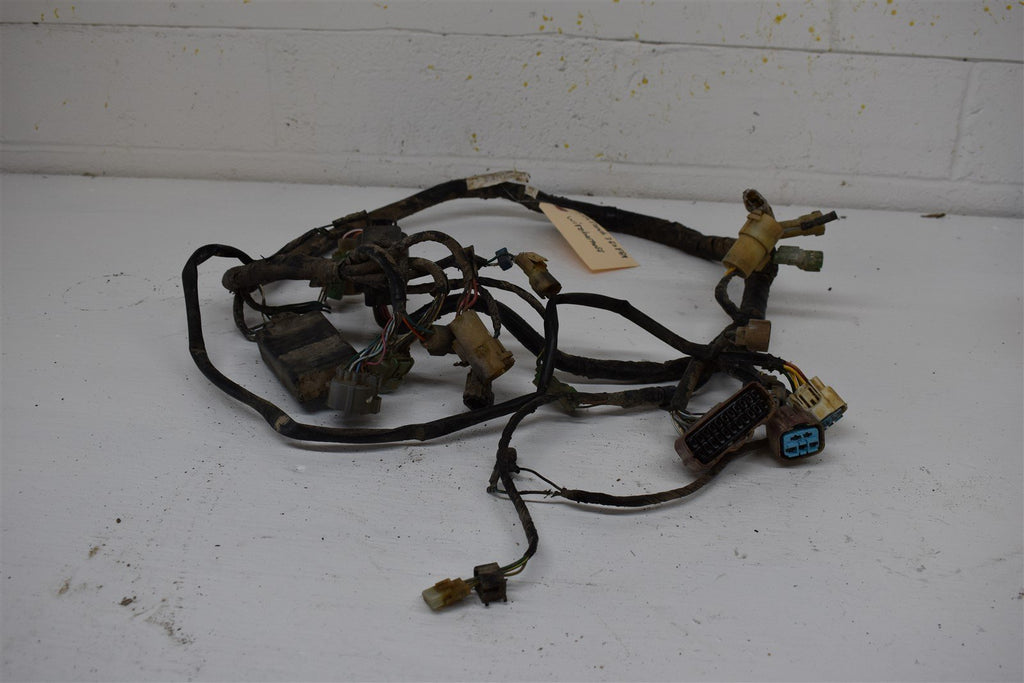 2004 Honda Rancher 350 FE Wiring Harness
