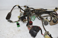 2007 Honda TRX 420FE ES Wiring Harness