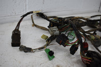 2007 Honda TRX 420FE ES Wiring Harness