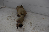 2007 Honda TRX 420FE ES Muffler Exhaust