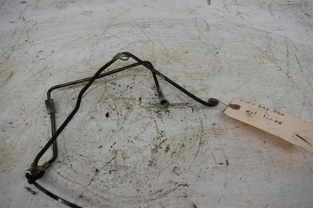 2007 Kawasaki Bayou 250 Oil Lines